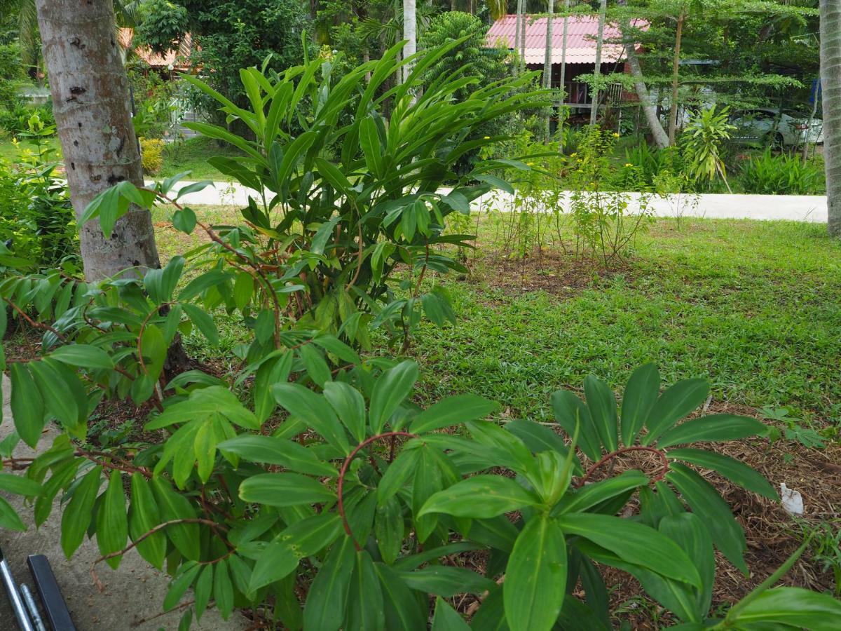 Pru Valley Thaley Tai Resort Ban Don Phlap Luaran gambar
